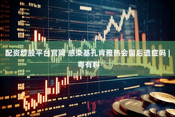 配资炒股平台官网 感染基孔肯雅热会留后遗症吗 | 粤有料