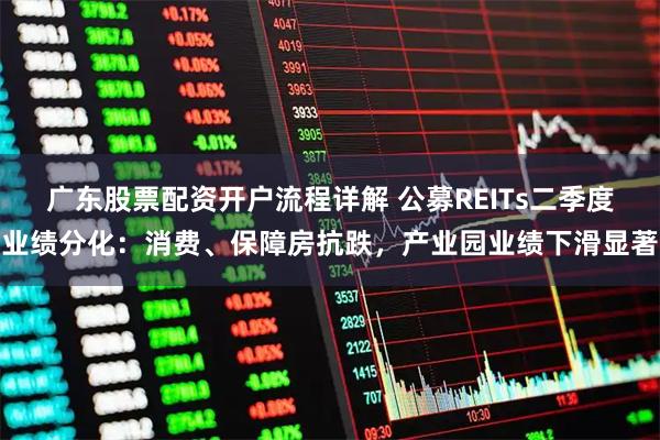 广东股票配资开户流程详解 公募REITs二季度业绩分化：消费、保障房抗跌，产业园业绩下滑显著